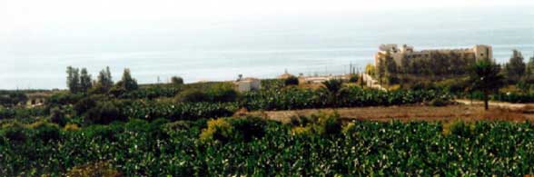 sea view from villa in Cyprus
