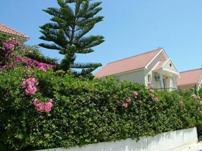 Cyprus holiday Villa