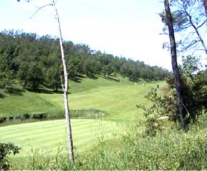 view of golf course barbaroux