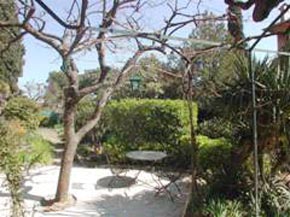 Cannes Villa garden