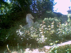 Chateau garden with horse