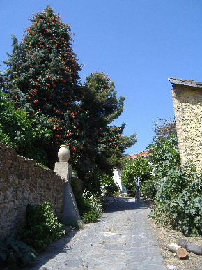 Bormes-les-Mimosas Hotel