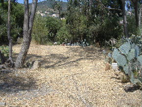 Bormes-les-Mimosas Hotel garden