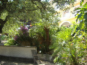 Bormes-les-Mimosas garden