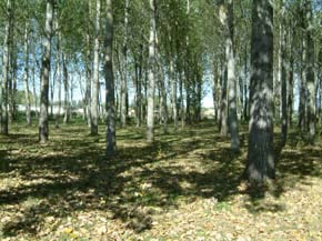 land for sale Bergerac
