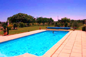Spacious garden with pool