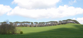tuscan landscape