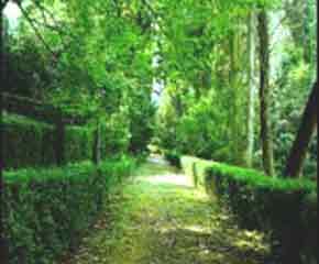 Villa garden