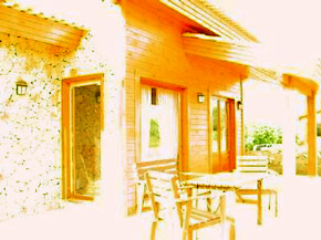 Villa Palmeira portugal