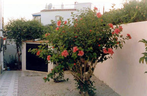 holiday villa garden