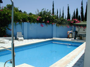 Maro villa in Costa del Sol