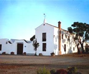 Villa in Andalucia