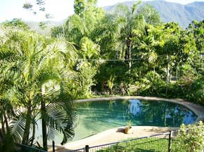 1471 villa pool