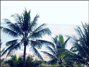 pacific penthouse Cairns