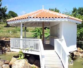 st Lucia Villa rental