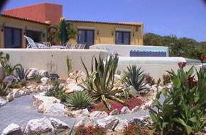 1478 villa cacti garden