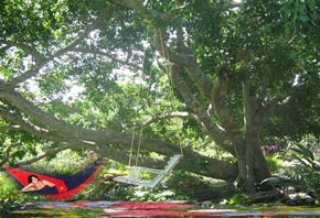 villa swings