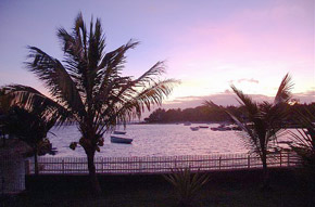 1467  Mauritius sunset