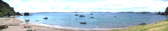 1114 new Zealand holiday rentals