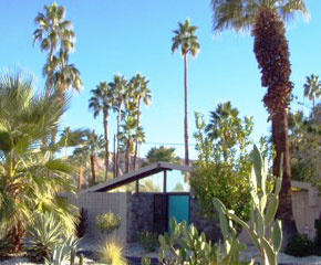 Twin Palms luxury villa