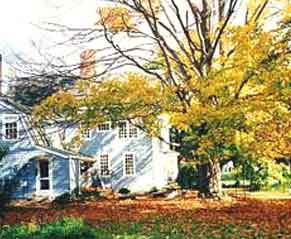 Garden in Fall