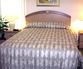 bed