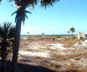 Florida Beach House 