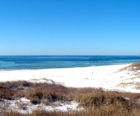 Beach view 