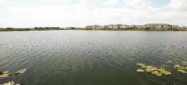 lake Davenport