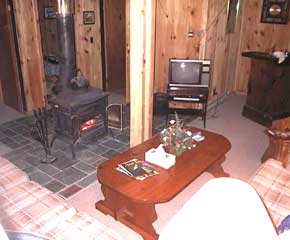 mount snow cabin