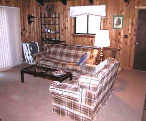 mt snow living room