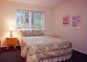 cabinn bed